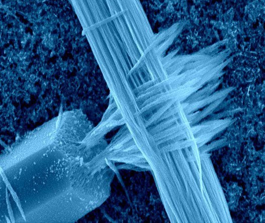 Il mestiere della scienza
