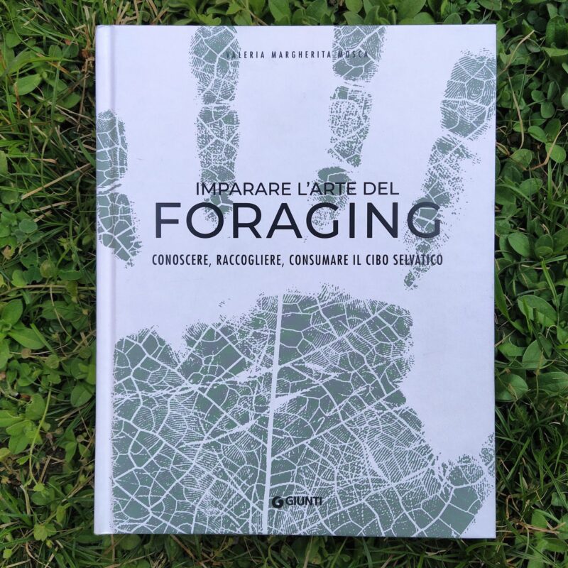 Imparare l’arte del foraging