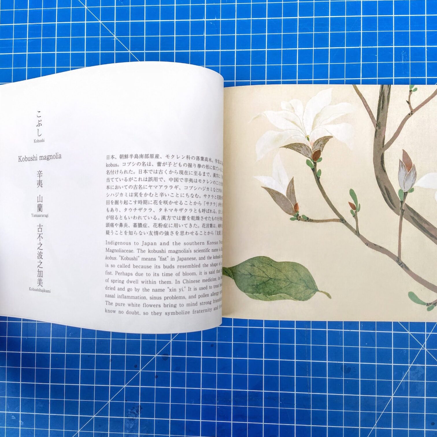 Flowers of Edo