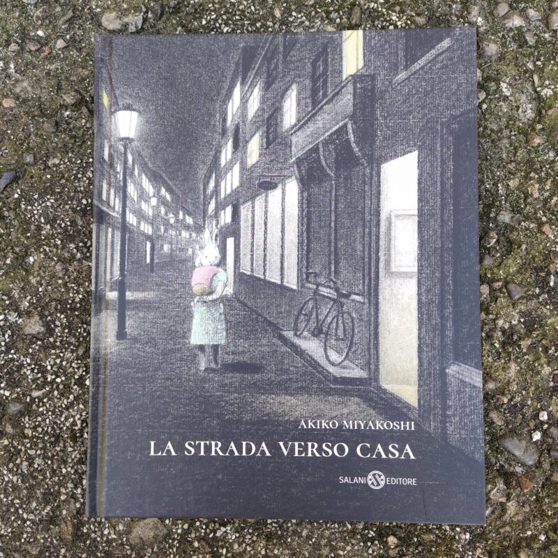 La strada verso casa