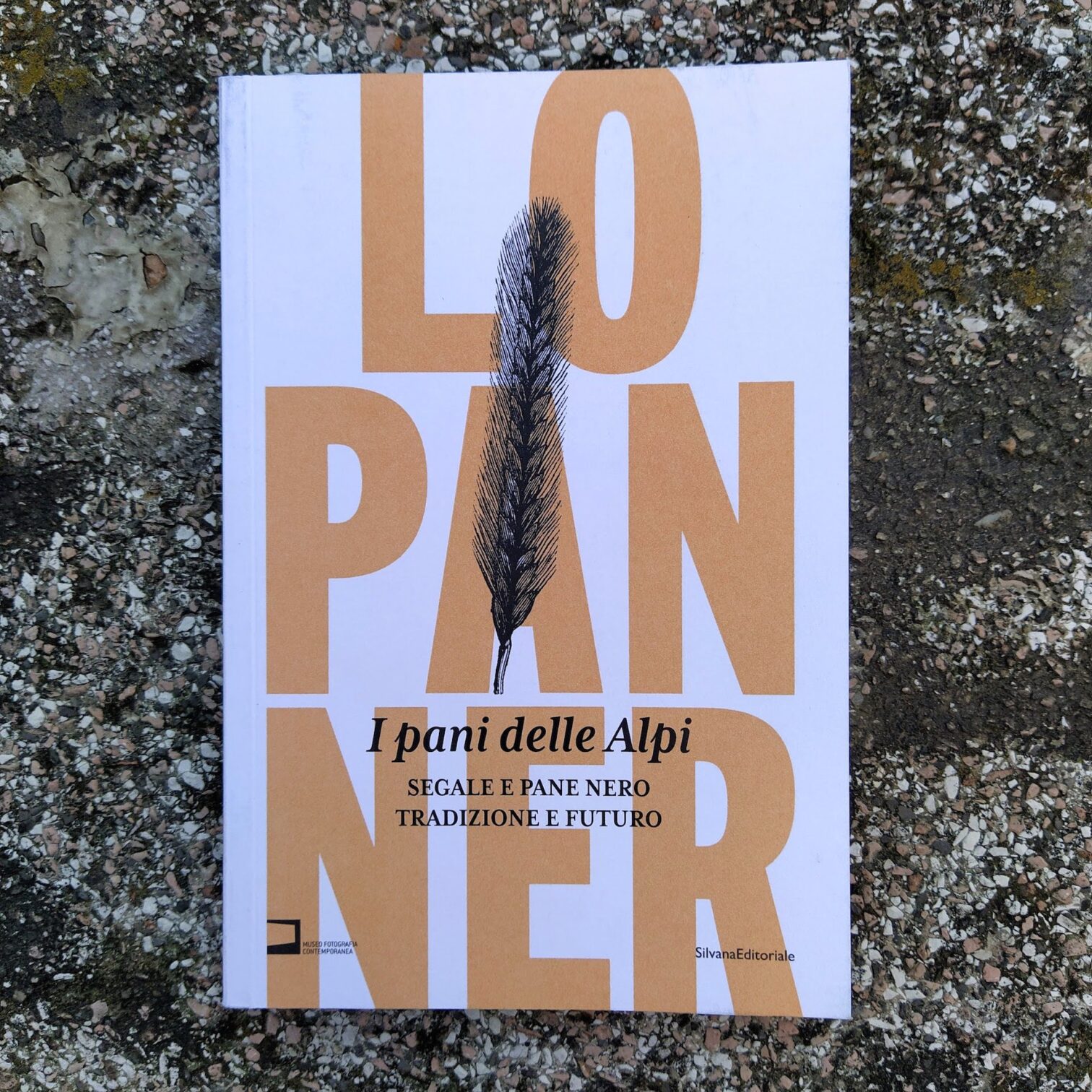 I pani delle Alpi