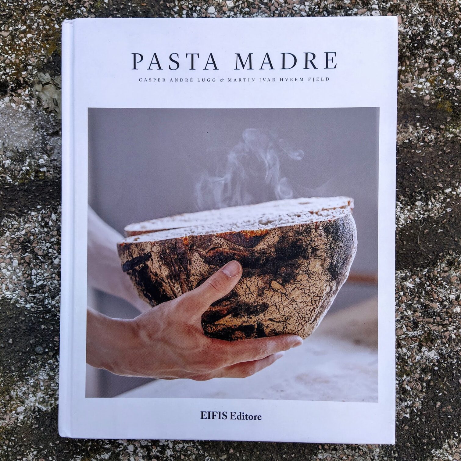 Pasta madre