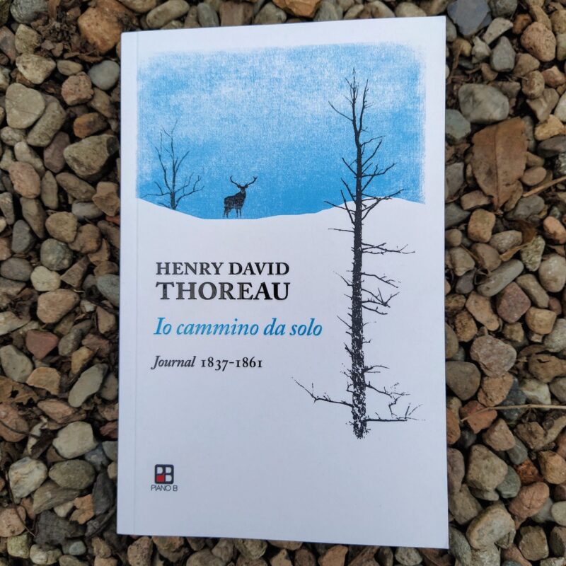 Io cammino da solo. Journal 1837-1861