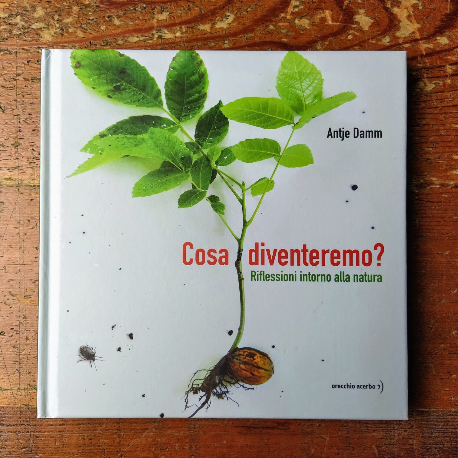 Cosa diventeremo?