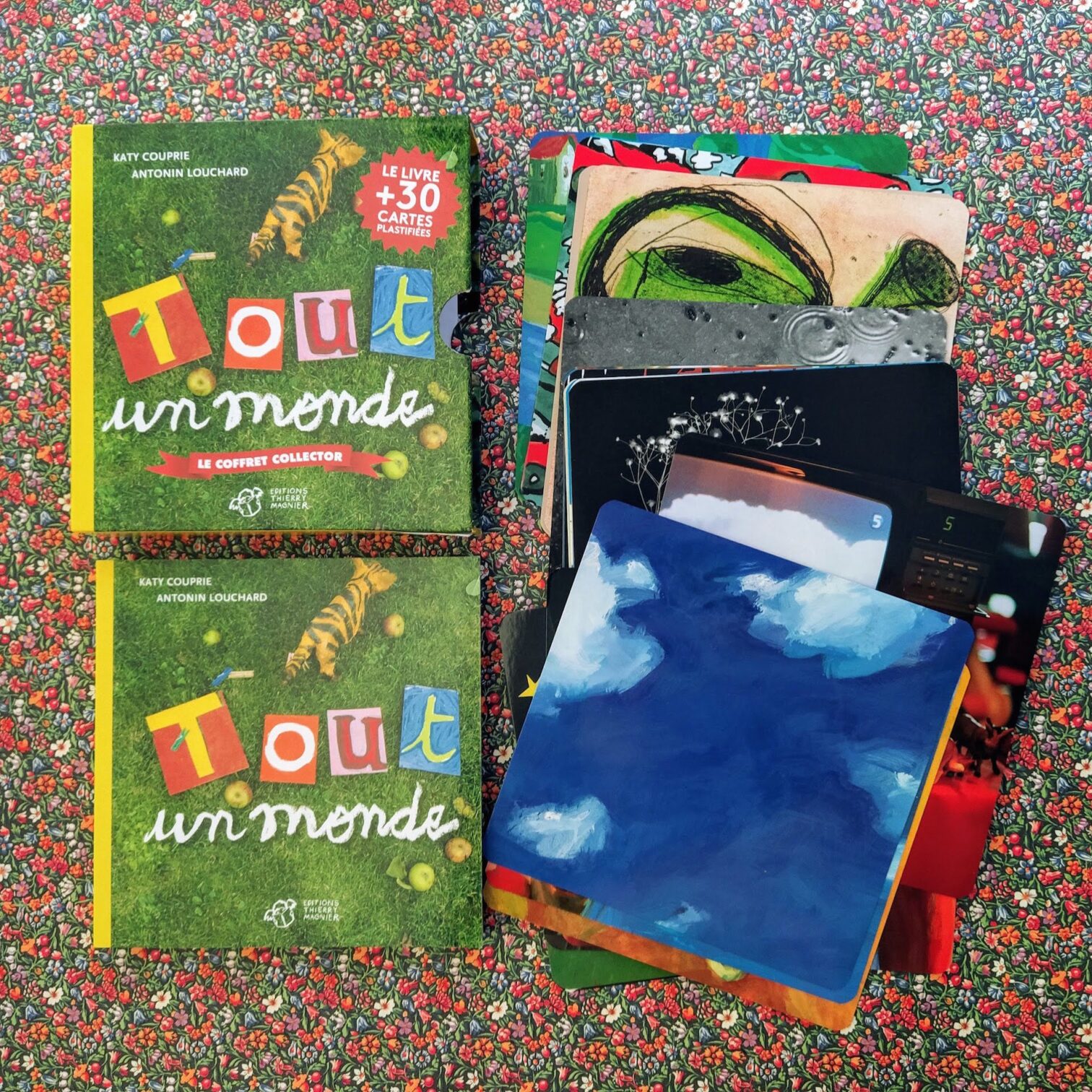 Tout un monde
