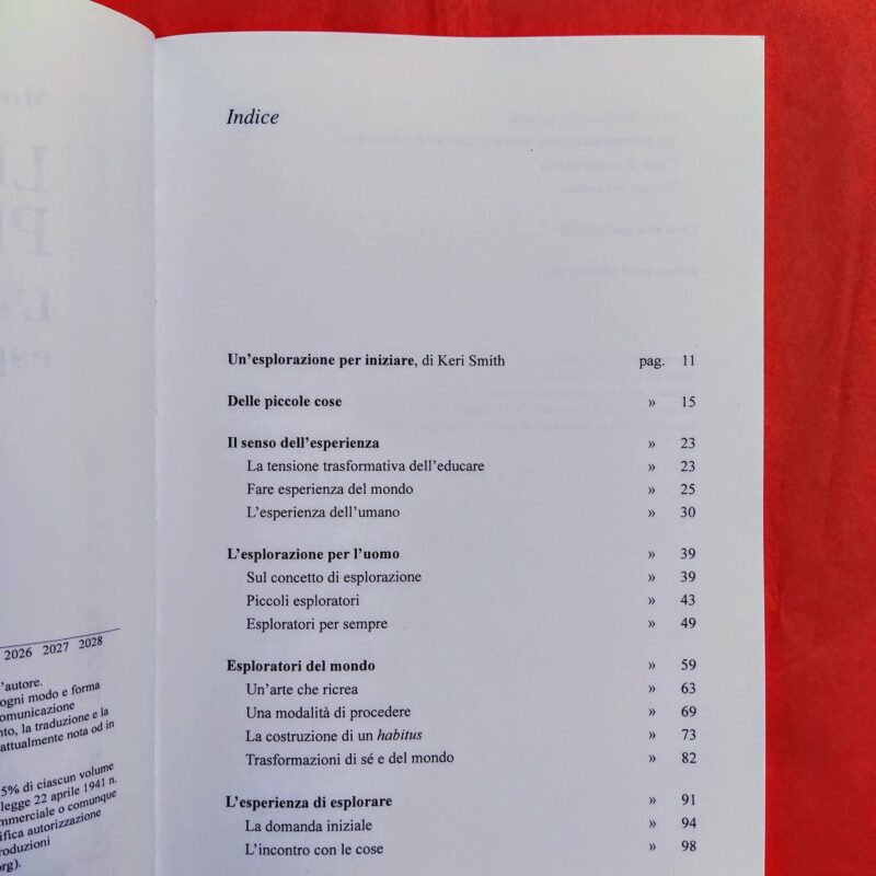 le più piccole cose