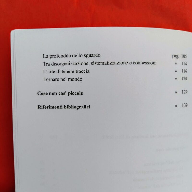 le più piccole cose monica guerra