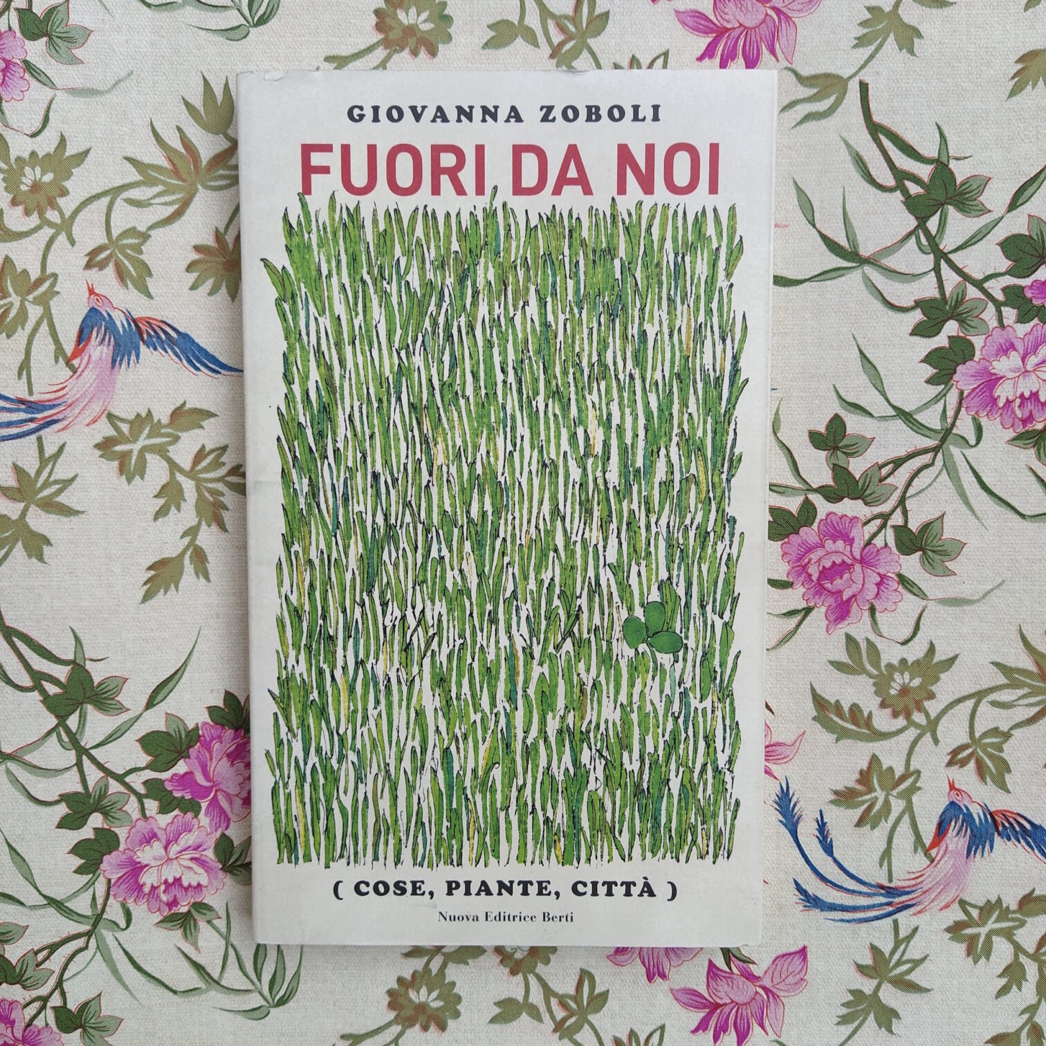 Fuori da noi