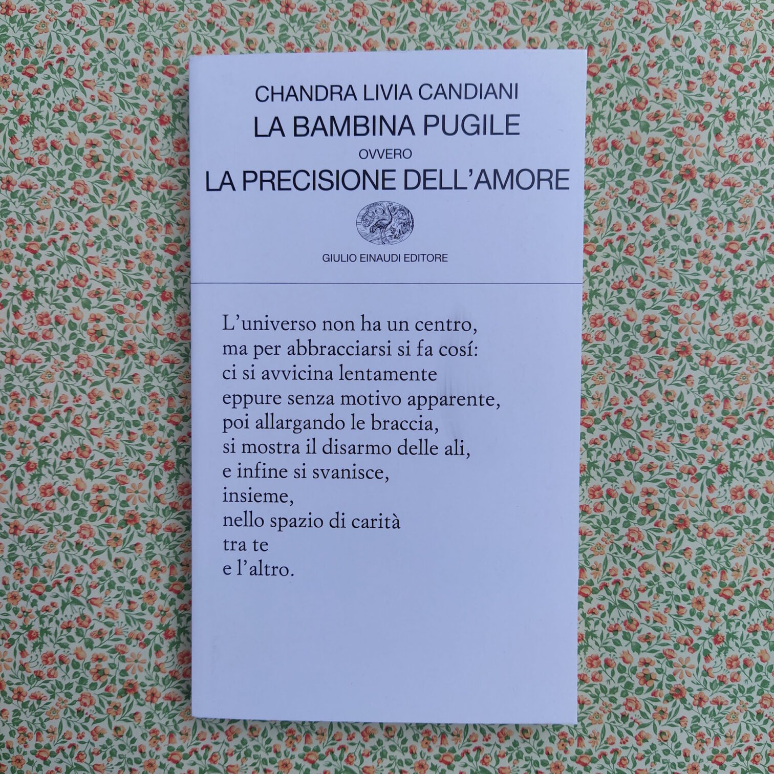 La bambina pugile ovvero la precisione dell’amore
