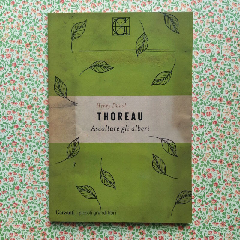 Ascoltare gli alberi