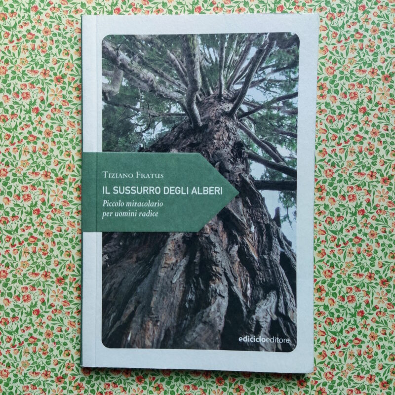 Il sussurro degli alberi