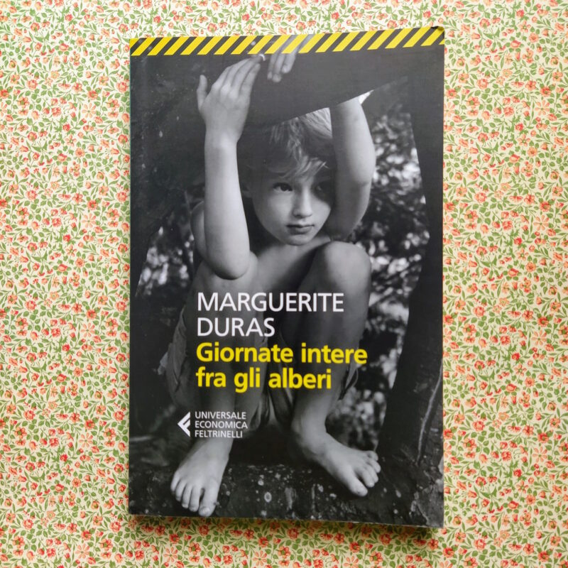 Giornate intere fra gli alberi