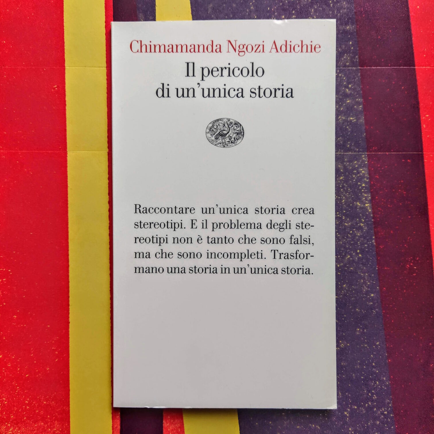 Il pericolo di un’unica storia