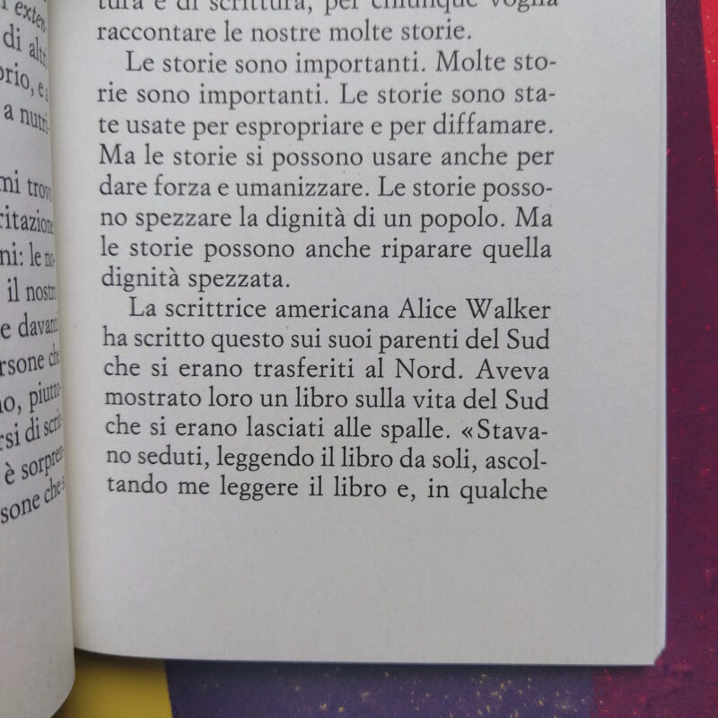 Il pericolo di un’unica storia Chimamanda Ngozi Adichie