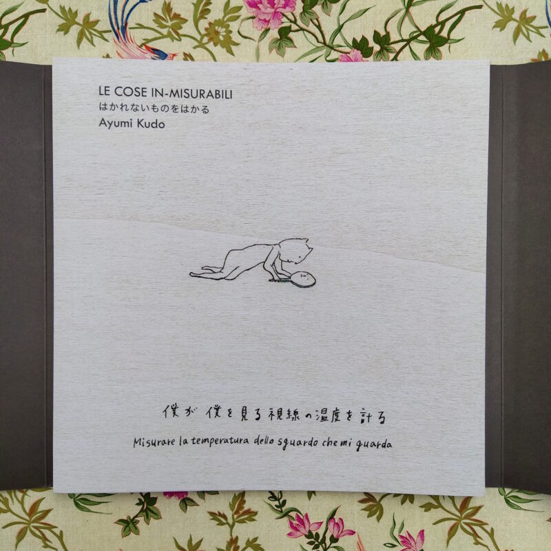 le cose in-misurabili ayumi kudo