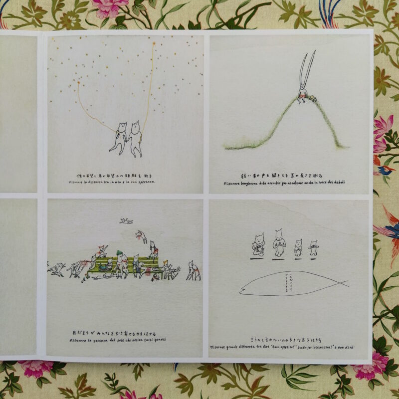 le cose in-misurabili ayumi kudo libro illustrato