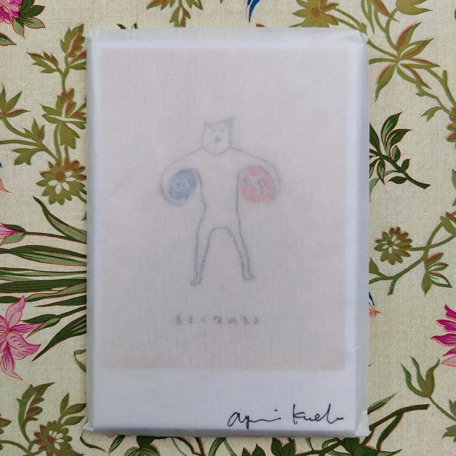 5 sensi (cartoline)