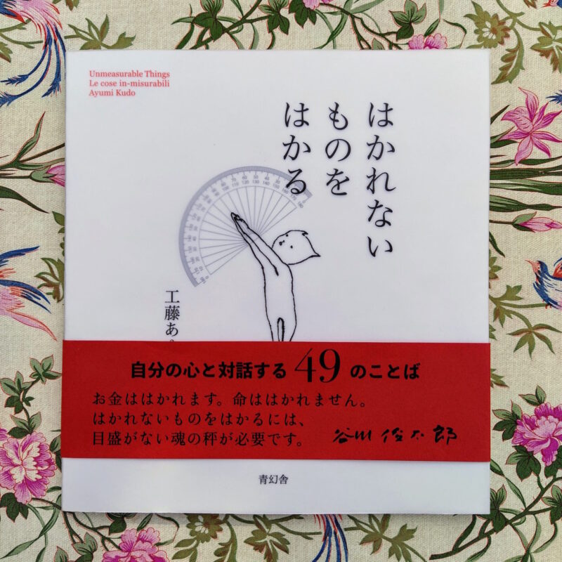 Le cose in-misurabili