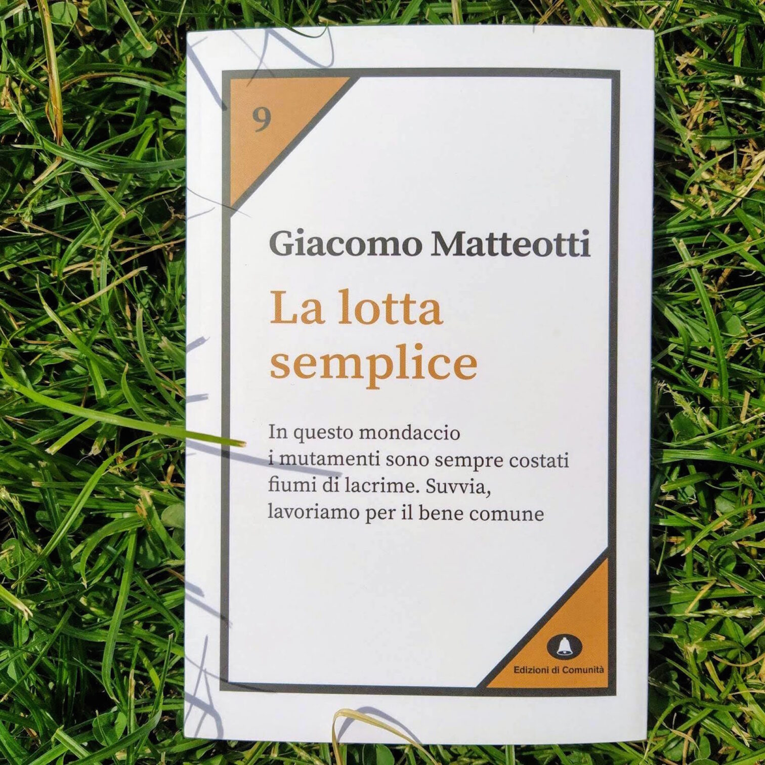 La lotta semplice