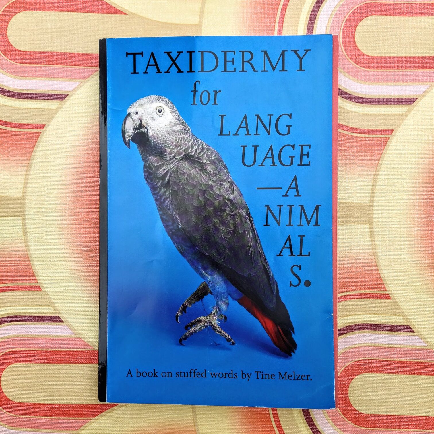 Taxidermy for Language – Animals