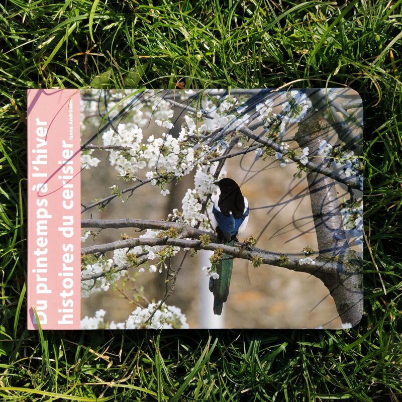 Du printemps à l’hiver. Histoires du cerisier