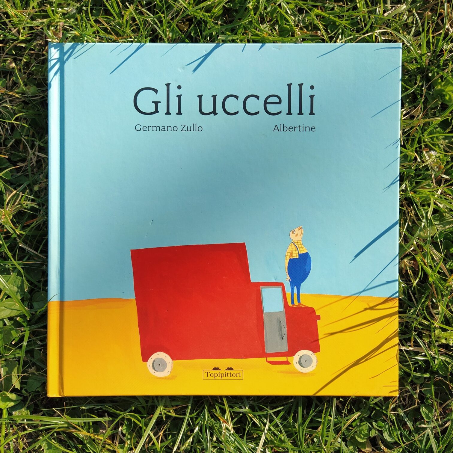 Gli uccelli
