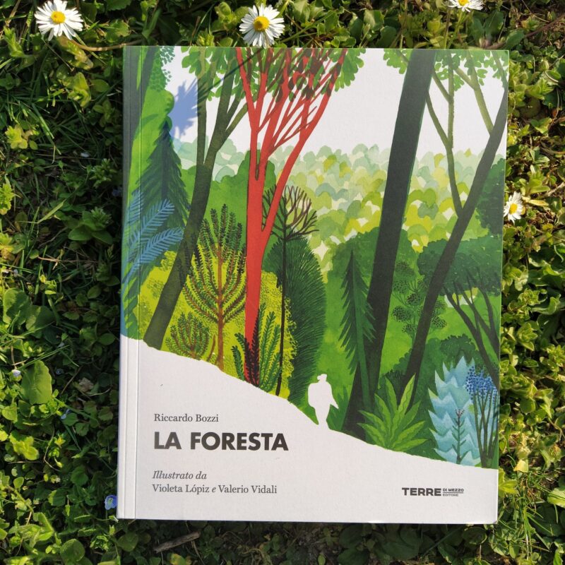 La foresta