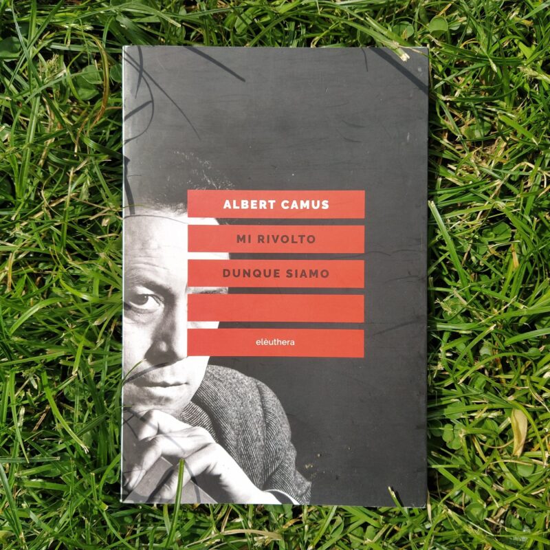 Mi rivolto dunque siamo