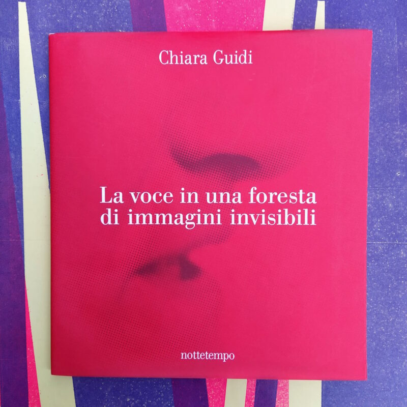 La voce in una foresta di immagini invisibili