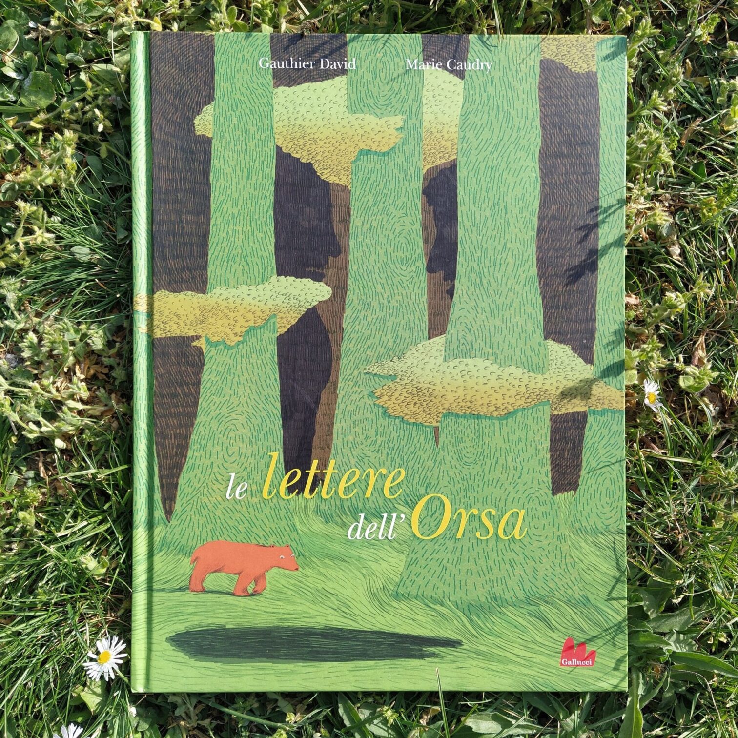 Le lettere dell’Orsa