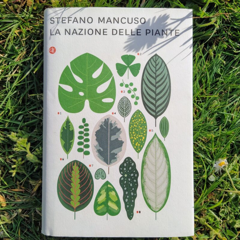 La nazione delle piante