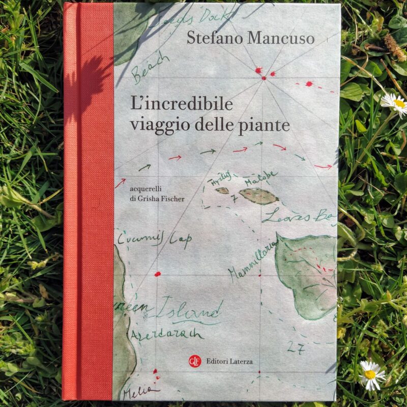 L’incredibile viaggio delle piante