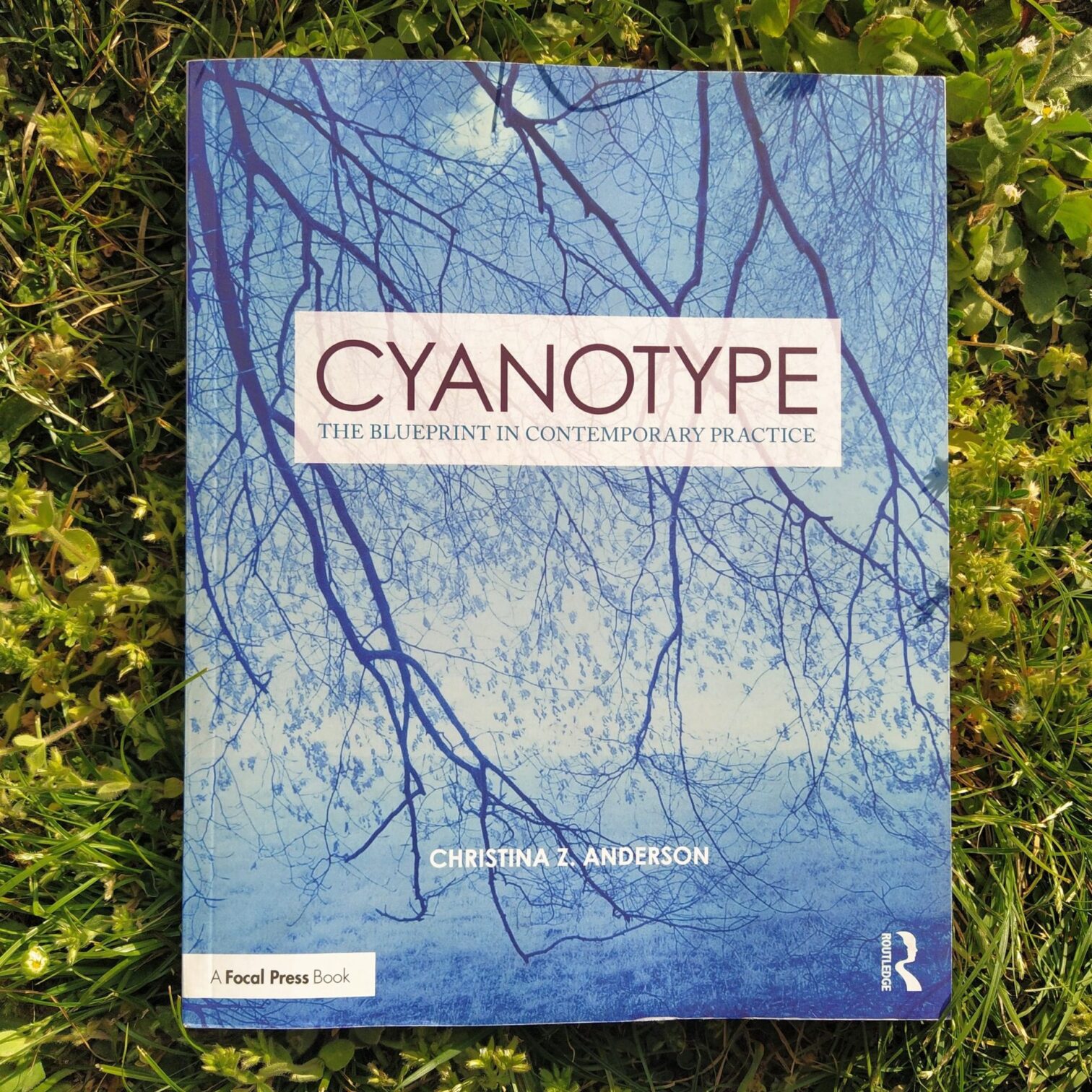 Cyanotype