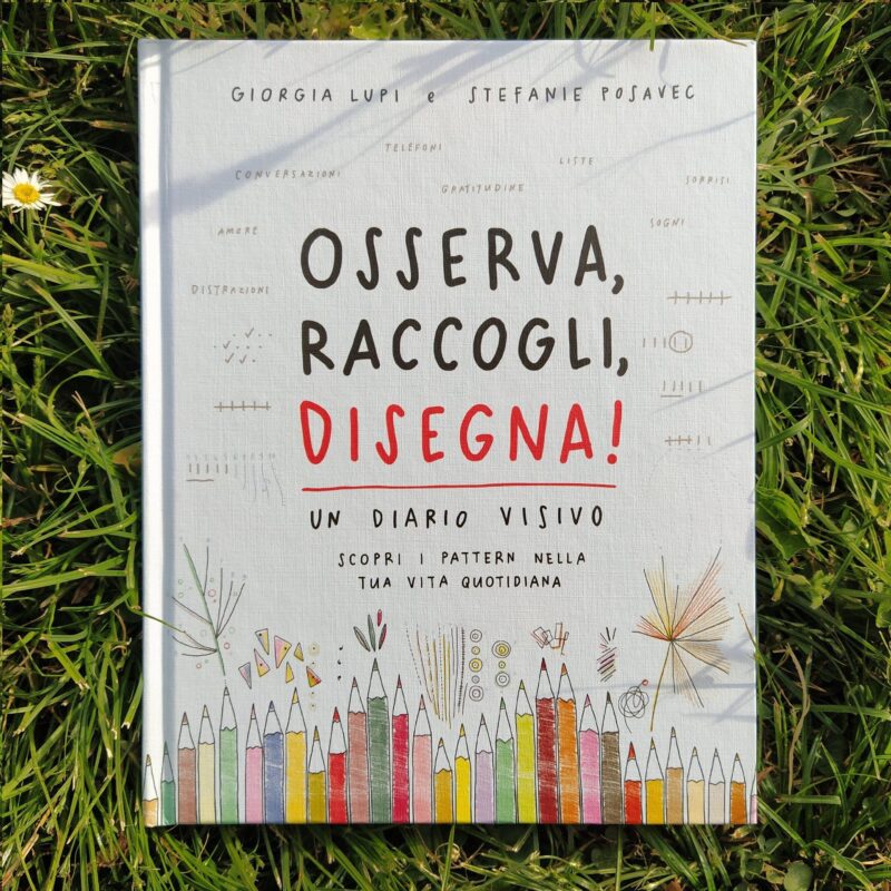 Osserva, raccogli, disegna!