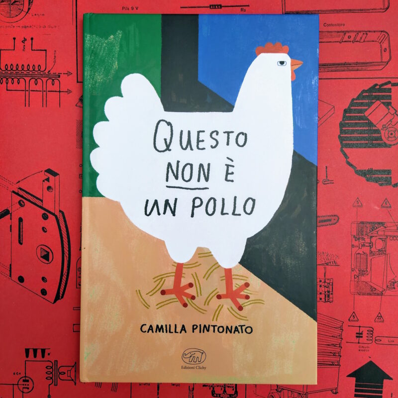 Questo non è un pollo