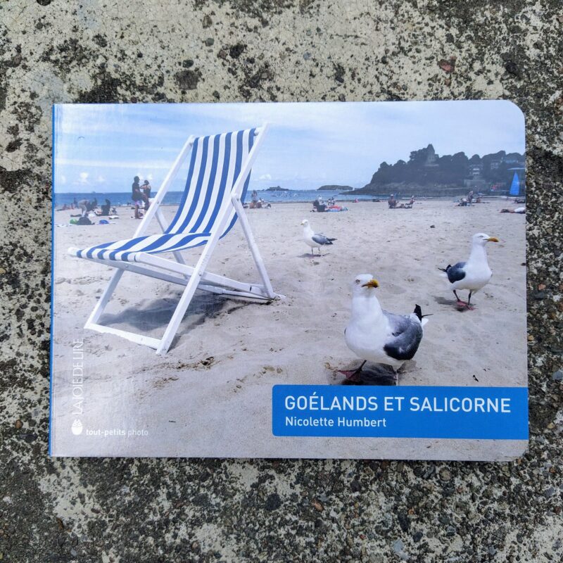 Goélands et salicorne