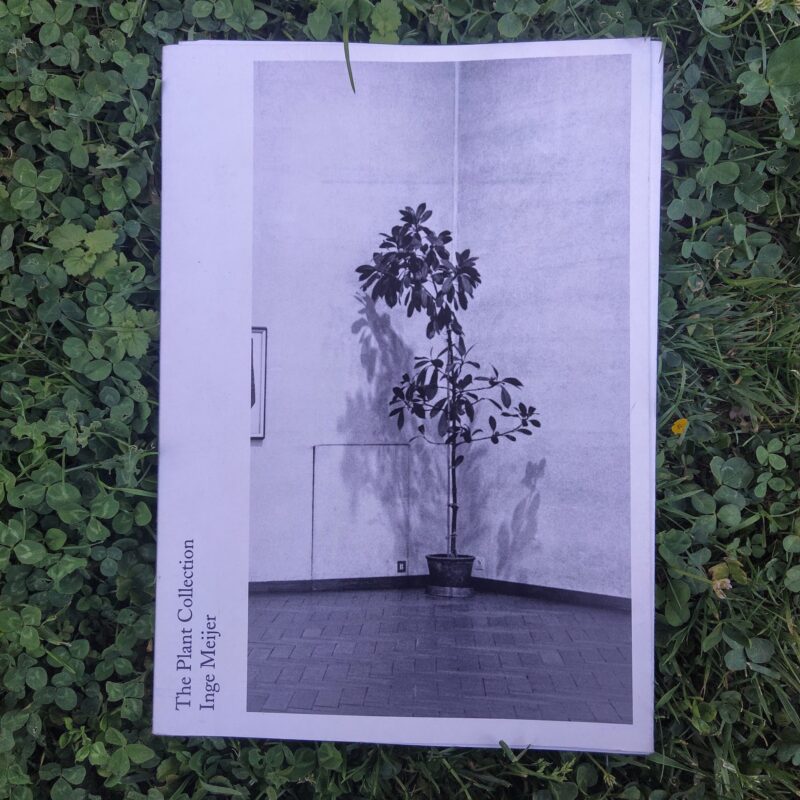 The plant collection