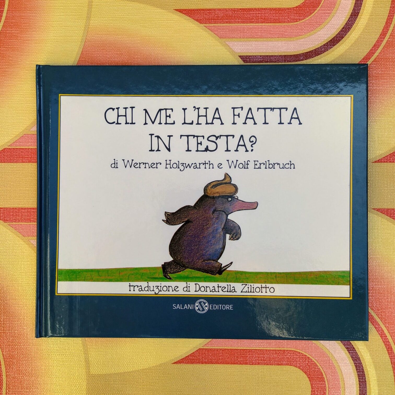 Chi me l’ha fatta in testa?