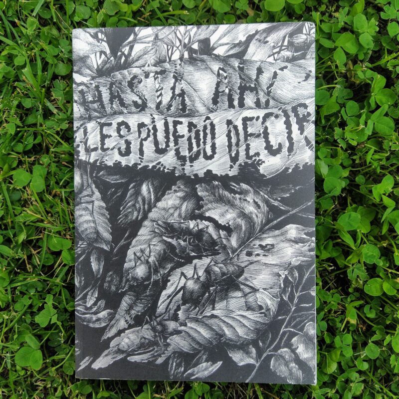 FIN QUI VE LA POSSO RACCONTARE