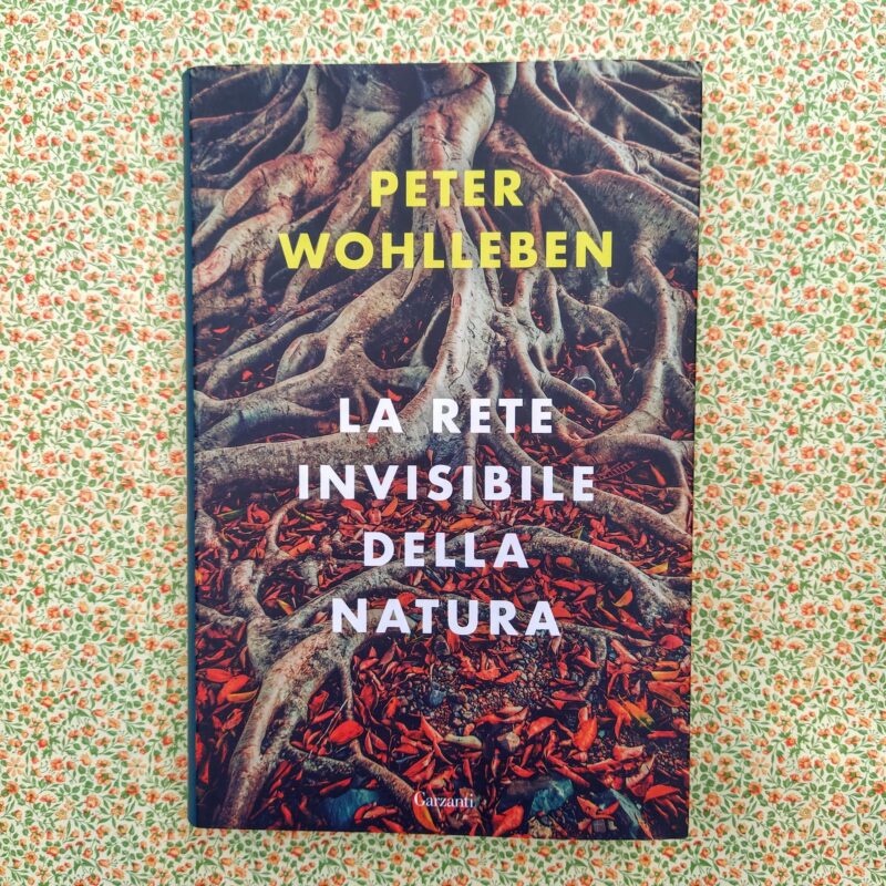 La rete invisibile della natura