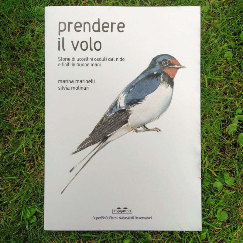 Prendere il volo