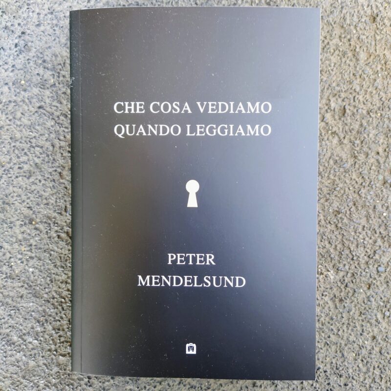 Che cosa vediamo quando leggiamo