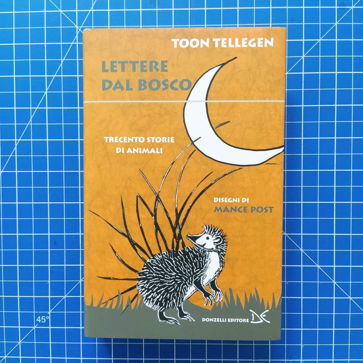Lettere dal bosco