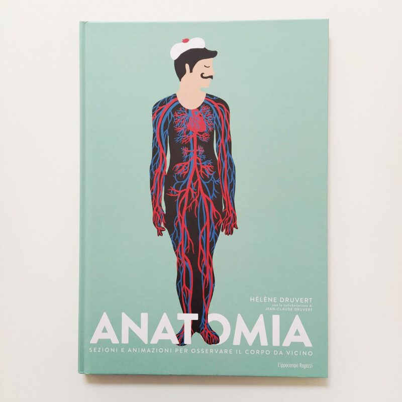 Anatomia
