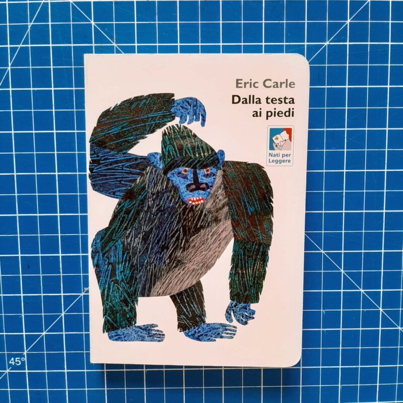 Dalla testa ai piedi