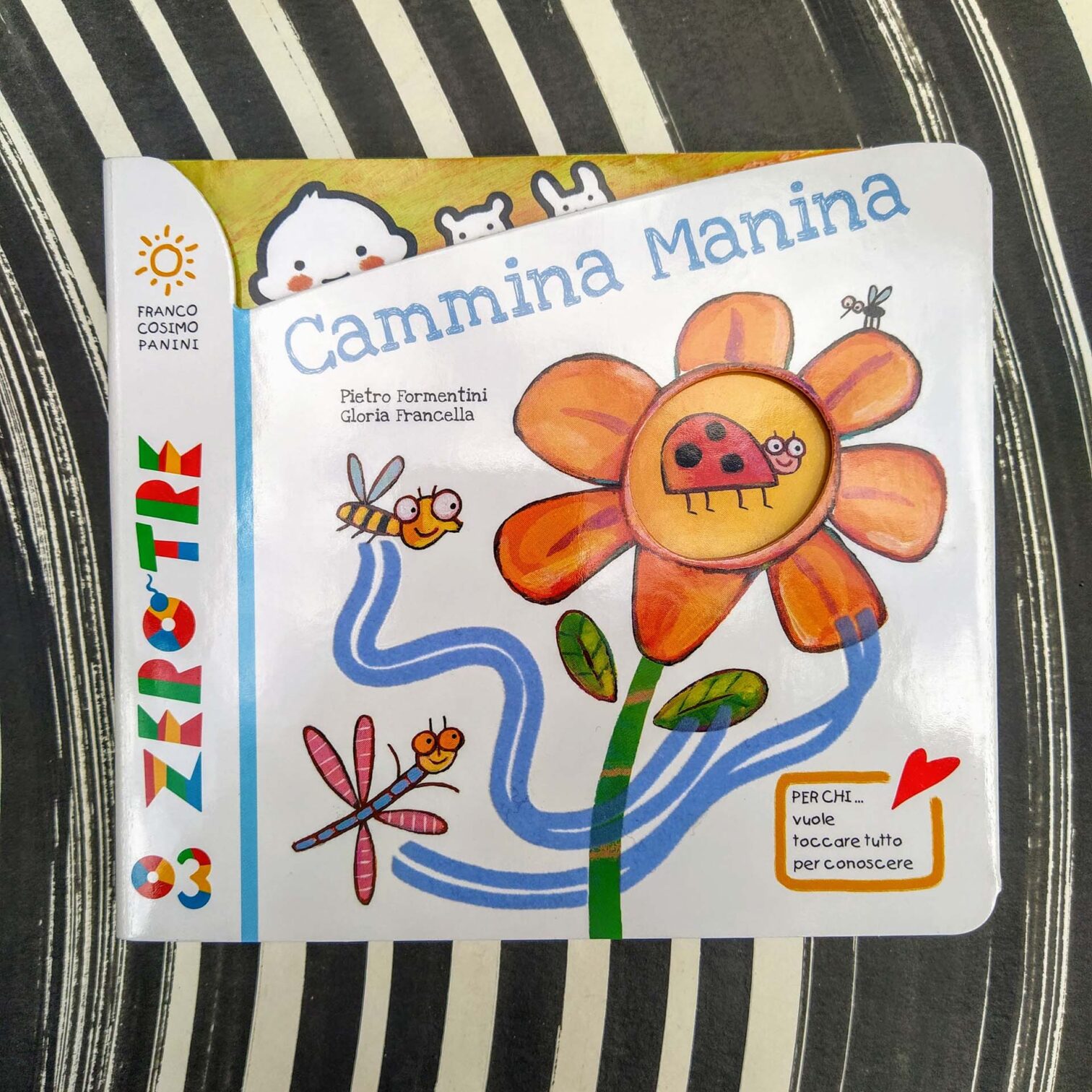 Cammina manina