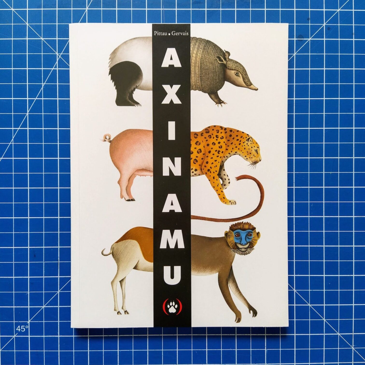 Axinamu