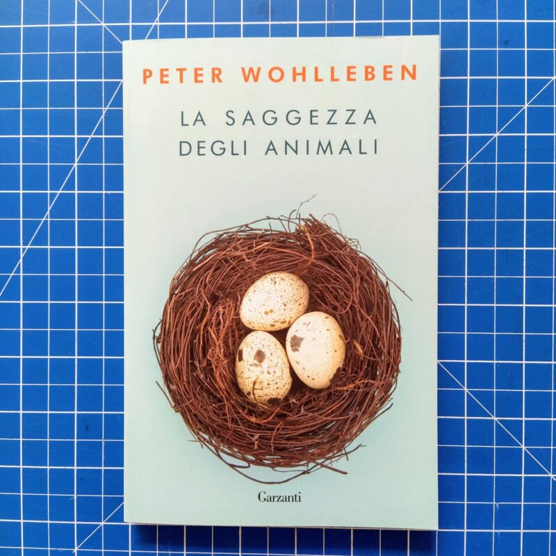 La saggezza degli animali