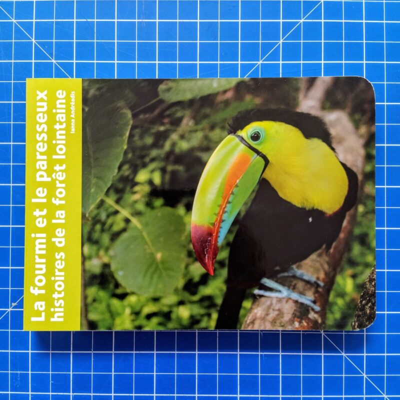 La fourmi et le paresseux histoires de la forêt lointaine