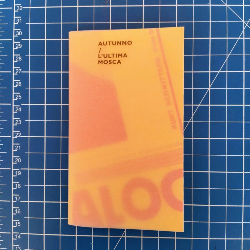 Autunno / L’ultima mosca